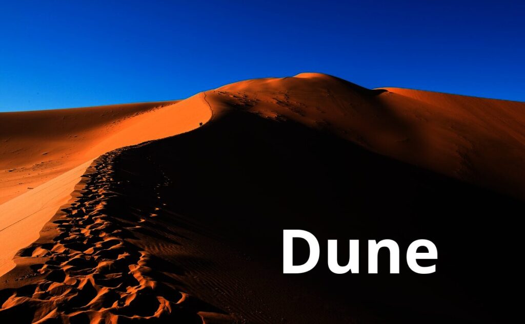 Dune