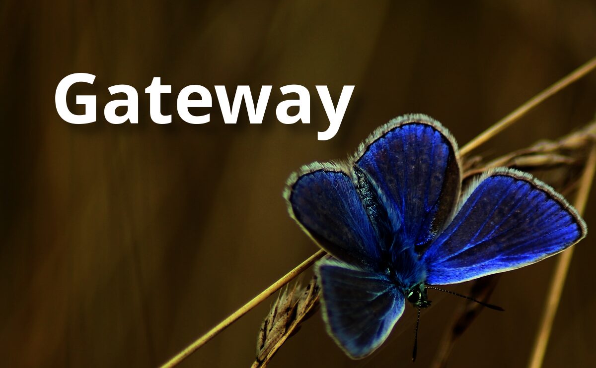 Gateway – Frederik Pohl