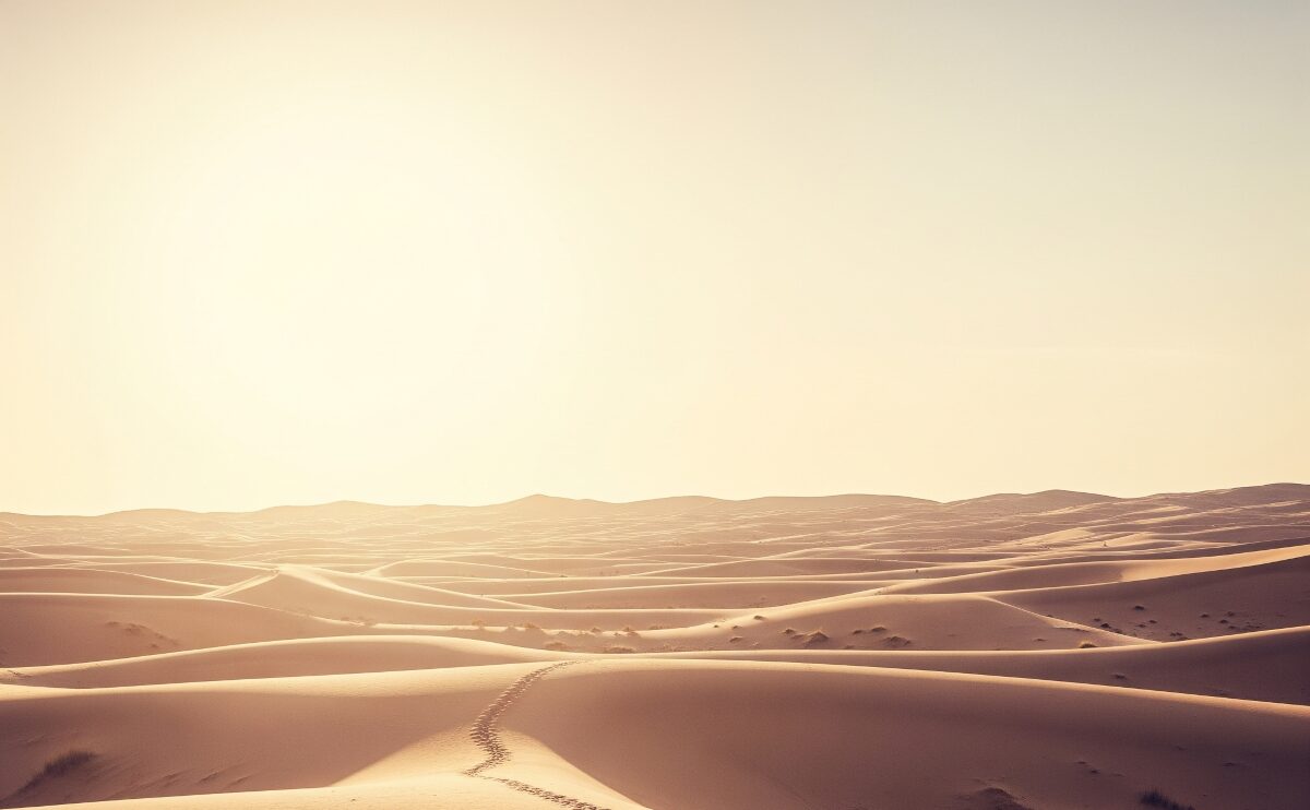 The Alchemist’s Personal Legend: Unlocking Destiny and Embracing the Journey