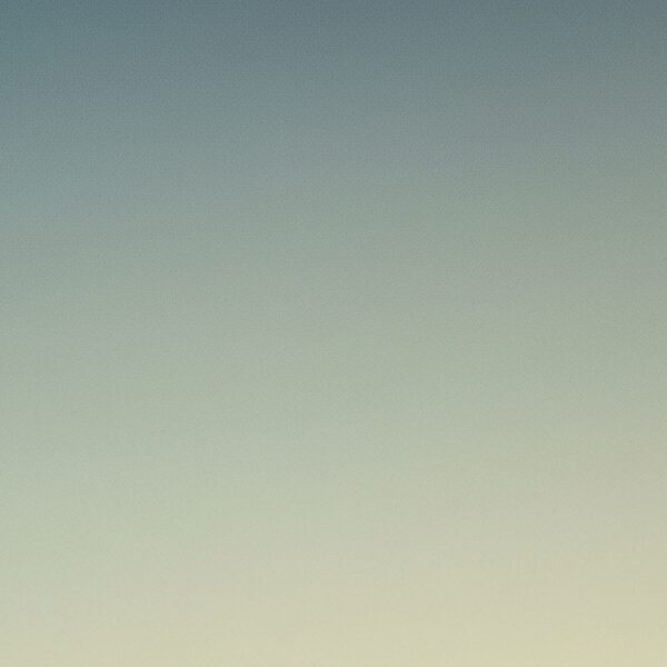 Jonathan Livingston Seagull