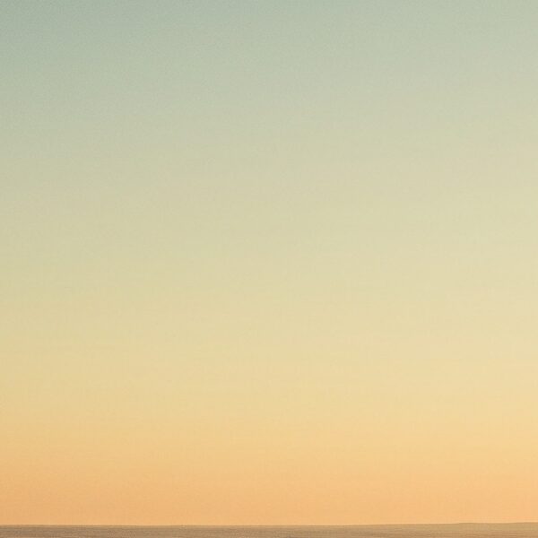 Jonathan Livingston Seagull