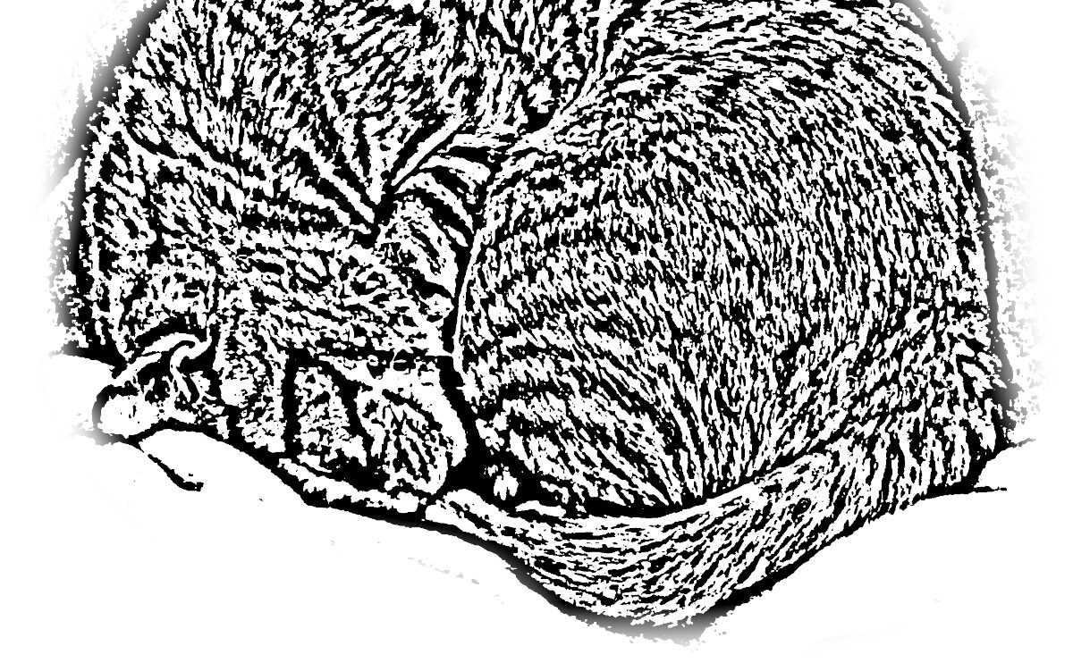No LIFE, No CAT. mindfulness: Finding Peace in the Paradox: Mindfulness Woven by AI’s “Efficiency” and Human “Imperfection” 5th