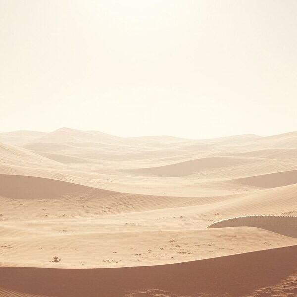 Dune