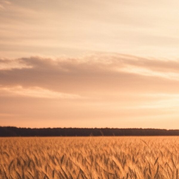 J.D. Salinger's The Catcher in the Rye