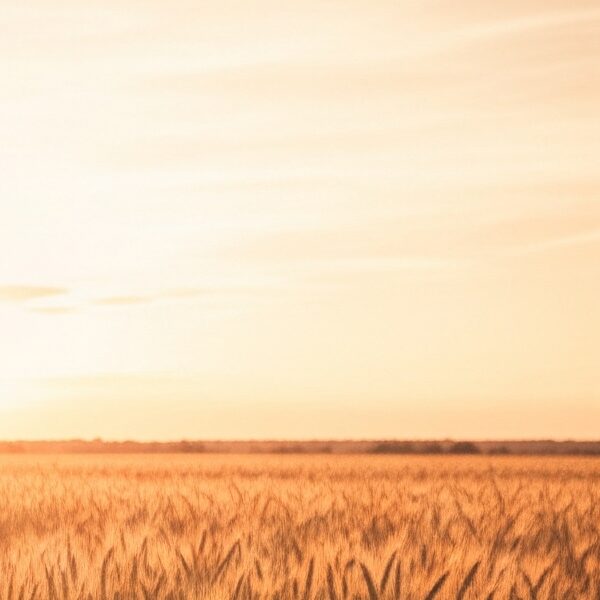 J.D. Salinger's The Catcher in the Rye
